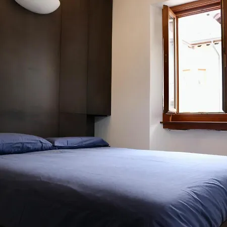 White Nest